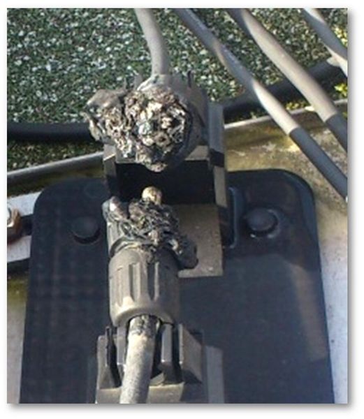 Dieser Brand hat sich glücklicherweise nicht ausgebreitet. (Bild: Multi-Contact)