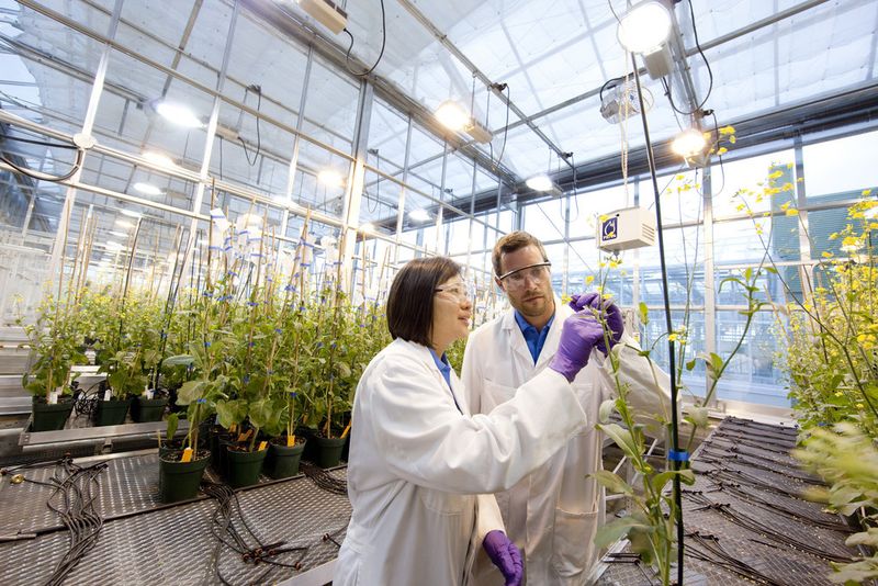 For Crop Science as a whole, the aim is to achieve above-market growth and raise sales to more than EUR 11 billion in 2017 (2014: EUR 9.5 billion), giving average annual growth of around 5 %. It is intended to maintain the Ebitda margin before special items at an industry-leading level of 23 to 25 % (2014: 24.9 %). (Picture: Bayer Crop Science)