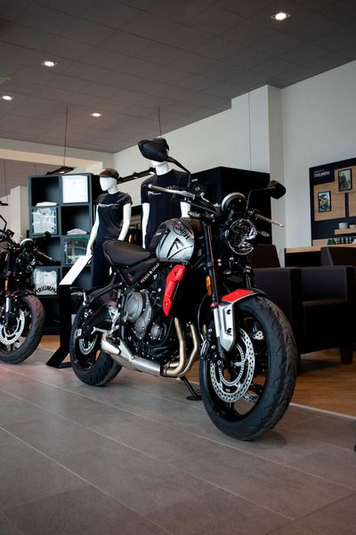 Im laufenden Geschäftsjahr will die Feser-Graf-Gruppe ... (Feser-Graf-Gruppe)