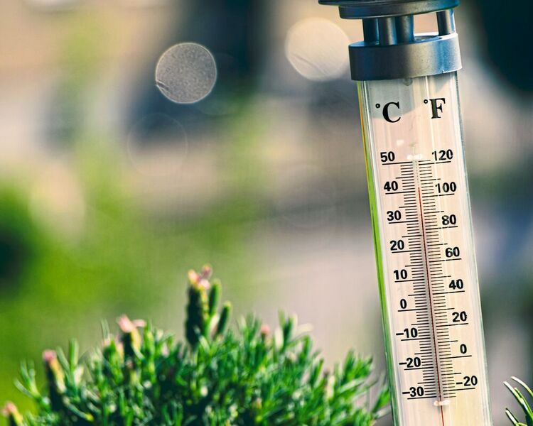 Wussten Sie, dass...
die Fahrenheit-Skala rund 30 Jahre älter ist als die Celsius-Skala? Im Jahr 1714 schlug Daniel Gabriel Fahrenheit vor, die Temperatur an drei Fixpunkten festzumachen: 

0 °F: eine Kältemischung aus Eis, Wasser und Salmiak
32 °F: Gefrierpunkt von Wasser
96 °F: Körpertemperatur eines gesunden Menschen

Mit der Kältemischung (-17,8 °C) als Nullpunkt wollte Fahrenheit negative Werte auf seiner Skala vermeiden. Weil der obere und der untere Fixpunkt der Skala aber nicht exakt reproduzierbar waren, definierte man später neue Fixpunkte – und zwar anhand der Celsius Skala. Seit 1893 galt daher: 32 °F = 0 °C und 212 °F = 100 °C. Heute ist die Fahrenheitskala fast nur noch in den USA gebräuchlich sowie auf den Bahamas und den Cayman Islands. In der Naturwissenschaft gilt ohnehin seit 1960 die absolute Temperaturskala nach William Thomson (später geadelt zu Lord Kelvin of Largh). Diese ist definiert durch den absoluten Nullpunkt (0 K = -273,15 °C) und den Tripelpunkt des Wassers (273,16 K = 0,01 °C).


Mehr zum Thema: 


www.wissenschaft-im-dialog.de: Wieso gibt es unterschiedliche Temperaturskalen auf der Welt?, 29. April 2008, Dr. Erich Tegeler, Fachbereich Temperatur der Physikalisch-Technischen Bundesanstalt
 (Bild: gemeinfrei, Jarosław Kwoczała)
