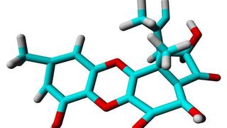 Die gegen Osteoporose wirksame Substanz F9775-A. (Archiv: Vogel Business Media)