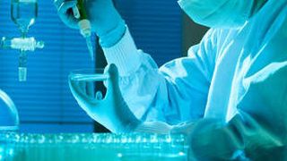 Forscher der Medizinschen Universität Wien haben eine Blockadestrategie gegen Pilzinfektionen entdeckt. (Bild: fotolia.com/Med Uni Wien)