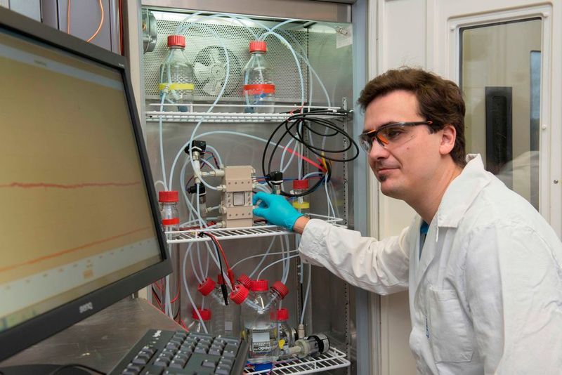 Electrolysis is used to convert carbon dioxide into carbon monoxide with the aid of electricity. In the second step, a fermentation process developed by Evonik turns the CO into reusable materials such as butanol or hexanol.  (Michael Meyer/Siemens)