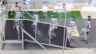 Teil des Benchmark-Tests: Durch Bewegungen mit verschiedenen Laufwegen auf einer Rampe wird die Fähigkeit zur Selbststabilisierung untersucht. (Bild: Fraunhofer IPA/ Rainer Bez)