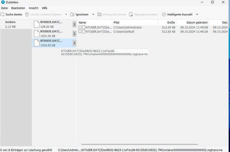 Doppelte Dateien mit Glary Utilities identifizieren. (Bild: Joos – Glarysoft)