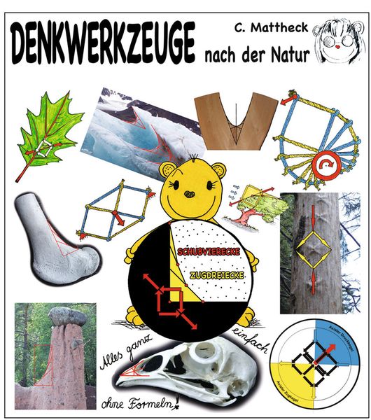 Mehr über Kerbformoptimierung und die Natur der Kerbspannungen findet man in Prof. Matthecks Buch. (Bild: Mattheck)
