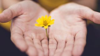 Sales Enablement Plattformen bieten tiefere Einblicke in die Effektivität von Inhalten über verschiedene Kundenprofile, Herausforderungen und CRM Verkaufsphasen hinweg und ermöglichen damit neue Verkaufschancen. (Bild: frei lizenziert)