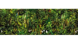 Die Netzwerk-Infrastruktur eines Krankenhauses gleicht oft einem Dschungel an verschiedenen Insellösungen. (Bild: Corona Borealis - stock.adobe.com)