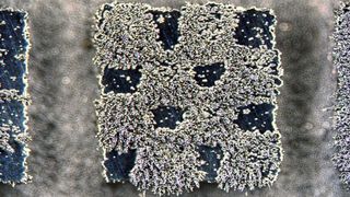 Eisenspäne haften auf diesem Mini-Schachbrett mit vier Millimetern Kantenlänge. Die teils magnetische Struktur wurde aus einer einzigen Sorte Stahlpulver bei verschiedenen Temperaturen produziert. (Bild: Empa)