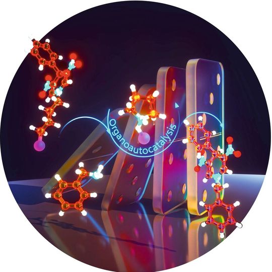 Ein grüner und effizienter Weg zu bioaktiven N-substituierten Dihydropyridinen durch Organoautokatalyse. Diese atomökonomische, dominoähnliche Umwandlung erfordert keinen externen Katalysator und stützt sich auf ein in situ erzeugtes Pyrrolidiniumsalz als selbsterhaltenden Organokatalysator.(Bild:  Ella Maru Studio)
