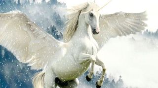 Start-ups, die mit 1 Mrd. Dollar bewertet wurden, werden als Einhörner bezeichnet, da sie so selten sind. (gemeinfrei (Pixabay, cocoparisienne))