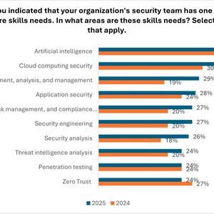 Bei KI, Sicherheit für Cloud Computing und Risikoerkennung, -analyse und -management sehen Sicherheitsteams in Unternehmen den größten Qualifikationsbedarf.(Bild:  ISC2)