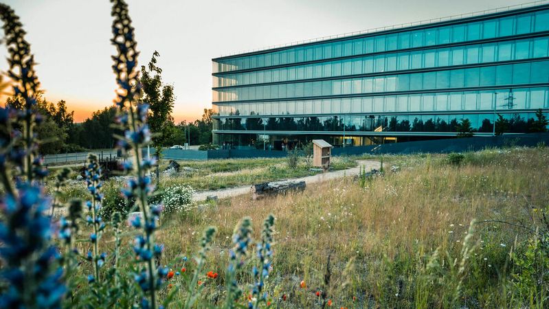 Blühwiesen, Artenschutz und Biodiversität: Audi hat einige seiner Projekte aus dem vergangenen Jahr vorgestellt.(Bild:  Audi)