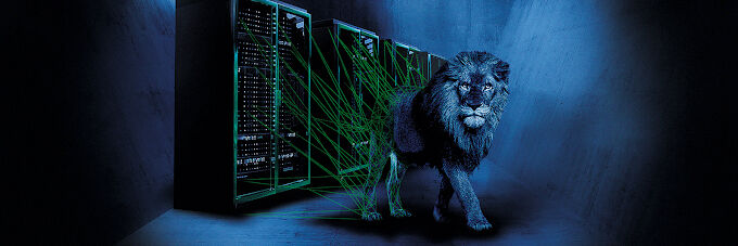 ProLion erweitert Support auf weitere IT-Plattformen