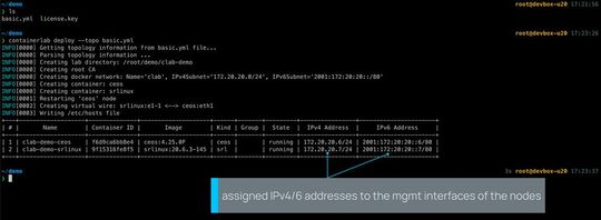 Der Befehl "containerlab deploy --topo basic.yml" liest die YAML-Datei, baut das Docker-Netzwerk auf, startet die Container, verkabelt sie über virtuelle veth-Pairs und gibt eine Tabelle mit IPv4- und IPv6-Adressen aller Management-Interfaces aus. (Bild:  Containerlab)