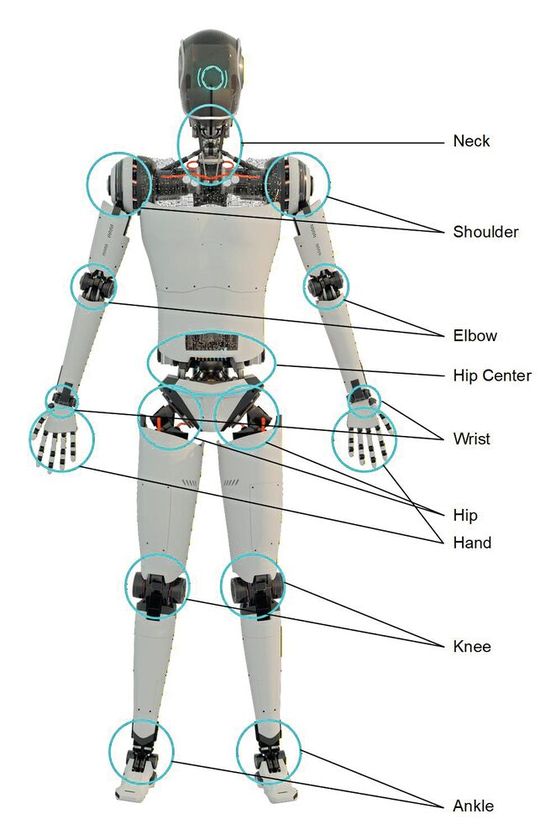 Bild 1: Typische Aktoren in humanoiden Robotern.(Bild:  Texas Instruments)