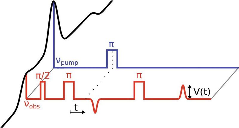 Abb.2: Pulssequenz für das Deer-Experiment. Innerhalb des Nitroxidspektrums (schwarz, links) werden Spins auf einer Beobachterfrequenz (A-Spins, rot) und einer Pumpfrequenz (B-Spins, blau) angeregt. Die Intensität V(t) des refokusierten Echos in Abhängigkeit von der zeitlichen Position t des Pumppulses ist aufgrund der Dipol-Dipol-Wechselwirkung zwischen A- und B-Spins moduliert.  (Bild: Uni Konstanz)
