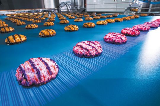 Lichtmuster reagieren auf Veränderungen und schaffen zusätzliche Informationstiefe.(Bild:  Gerhard Schubert GmbH)