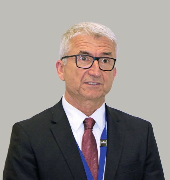 Welche Vorteile die Kombination von Innenhochdruckumformung und Presshärten bringen kann, zeigte Christian Juricek vom Automobilzulieferer Magna Cosma International. (Itasse)