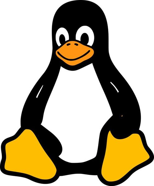 Im ersten Quartal betrug der Anteil von Attacken, die auf Linux-Systeme abzielten, über 36 Prozent. Der teilweise kombinierte Einsatz von Schad-Software wie Linux/Exploit, Linux/Downloader und Linux/Flooder verdeutlicht den Fokus der Angreifer auf entsprechend ausgestattete Server und IoT-Geräte. Benutzer sollten ihre Linux-basierten Systeme über mehrschichtige Abwehrmechanismen schützen. (Pixabay)
