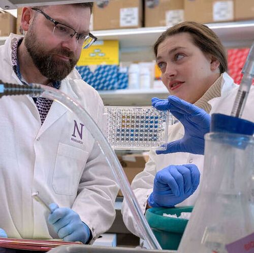Study authors Jason Miska and Leah Billingham reading out enzymatic activity of microglia in cell cultures. (Source:  Northwestern University.)
