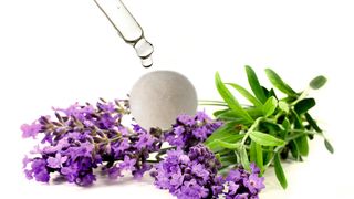 Mikroverkapselung von ätherischen Ölen durch Sprühgranulation in der Strahlschicht (Bild: Glatt Ingenieurtechnik; © silencefoto; © mnimage - Fotolia)