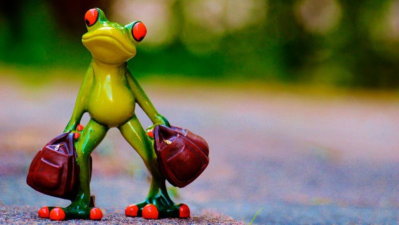 Frösche stehen auch für Glück, aber vele Anwender sehen sich angesichts der Lizenzpreise von VMware und einer zusammengestrichener Produktpalette genötigt, ihren Software-Assets anderweitig eine Infrastruktur-Heimat zu bieten. (Bild:  frei lizenziert: Alexa /  Pixabay)