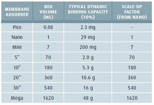 Table 3: Scale up with Sartobind Q 4 mm capsules (Picture: Sartorius Stedim India)