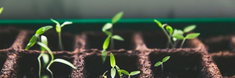 Wie beim Aufbau Ihrer eigenen Marke müssen Sie auch beim Growth Hacking für LinkedIn konsequent dranbleiben, um nachhaltigen Erfolg zu haben. Wie beim Aufbau Ihrer eigenen Marke müssen Sie auch beim Growth Hacking für LinkedIn konsequent dranbleiben, um nachhaltigen Erfolg zu haben.
