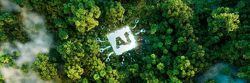 In Umweltbehörden mangelt es an vertiefter KI-Expertise. Das Forschungsprojekt Simplex4Learning möchte das ändern.(Bild:  © – Petmal – iStock)