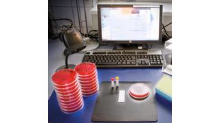 Die Maldi-Tof-Methode bietet großes Potenzial bei der Identifizierung von Mikroorganismen. (Bild: Labor L+S)