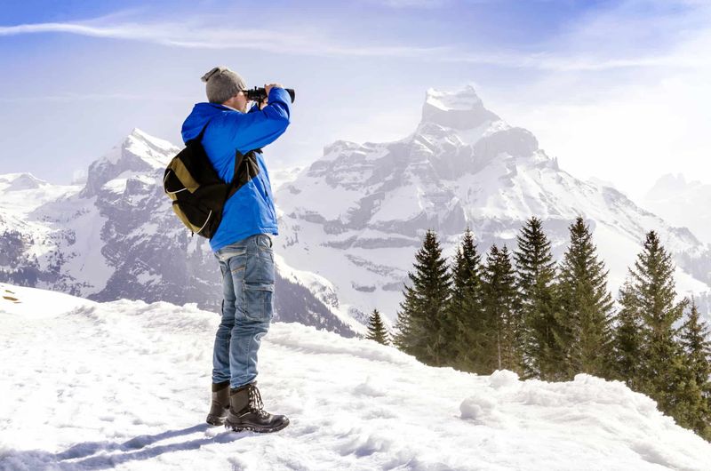 (Quelle:  Alex Tor/Shutterstock)