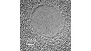 Elektronenmikroskopisches Bild des untersuchten Lochs mit einem Radius von vier Nanometern. (Foto: Pierre-Francois Duc/McGill University Montreal)