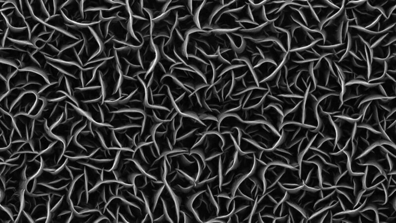 Rasterelektronenmikroskopische Aufnahme der nur wenige Nanometer dünnen Wände aus Kohlenstoff. (UDE / N. Wöhrl, S. Tigges)