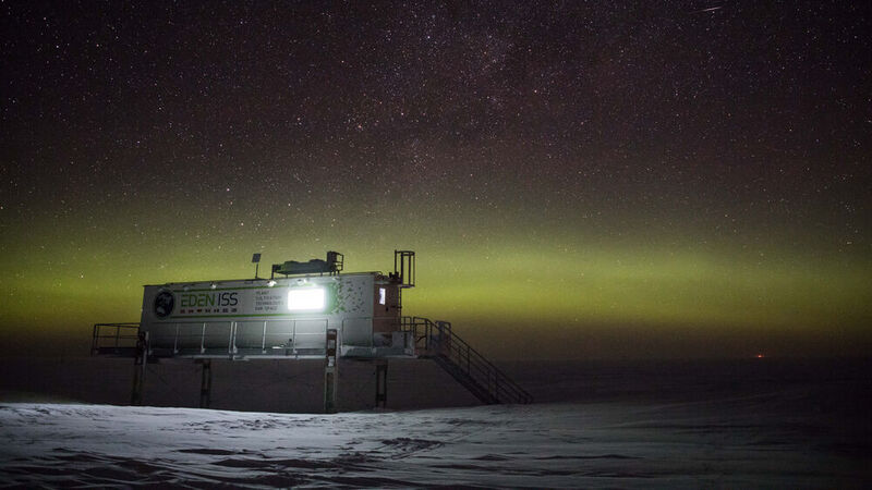 Ein Jahr verbrachte DLR-Wissenschaftler Paul Zabel im ewigen Eis mit der Gemüsezucht ohne Erde und unter künstlichem Licht. Dabei war er Teil der Überwinterungscrew der vom Alfred-Wegener-Institut (AWI) betriebenen Antarktisstation Neumayer III.  (DLR)