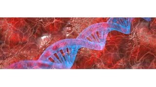 Die KI eröffnet der Life-Sciences-Branche bahnbrechende Möglichkeiten. Jedoch fehlen häufig die notwendigen Fachleute. (gemeinfrei)