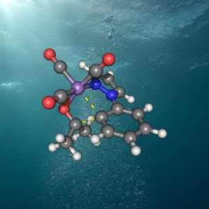 Struktur des aktiven Mangan-Katalysators in Wasser.