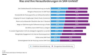 Die größten Herausforderungen im ITAM- und SAM-Umfeld.  (Bild: Flexera)