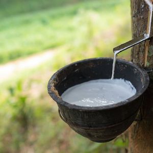 Naturkautschuk (NK) ist aus vielen Anwendungbereichen bekannt. Weniger bekannt ist, dass man diesen Werkstoff darüber hinaus noch sehr viel breiter einsetzen könnte, wenn er sich auch in kleinen Volumina prozesssicher dosieren ließe.(Bild:  structuresxx)