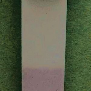 Abb.2: Negative Nasentopfenprobe.