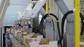 Die GoFa-Cobots von ABB reduzieren die Zeit für die Wachsversiegelung auf nur eine Sekunde pro Frucht und ermöglichen eine exakte Dosierung und gleichmäßige Qualität.  (Bild: ABB Robotics)