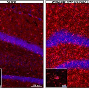 (© TU Braunschweig/Martin Korte)