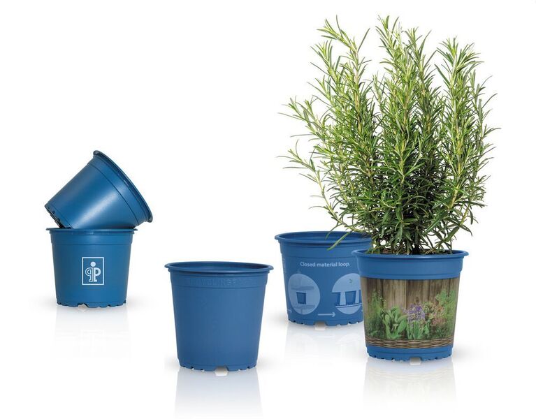 Komplett recycelbare Pflanztöpfe: Pöppelmann-TEKU weitet den Kreislaufgedanken auf immer mehr Produkte aus. (Pöppelmann)