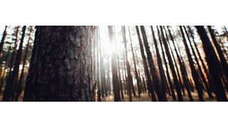 Richtig eingesetzt, ist die Digitalisierung ein wirksamer Hebel, um Ressourcen zu sparen und die Umwelt zu schonen. (Bild: gemeinfrei)