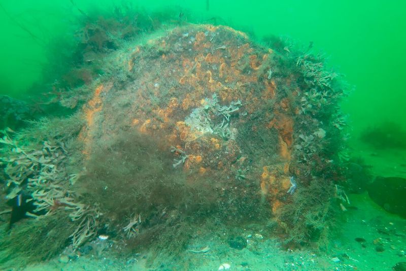 Nimmt man die Kriegsaltlasten in der Nord- und Ostsee zusammen, kommt man auf einen Güterzug der 2.500 Kilometer lang und voll beladen ist. Bildquelle: 