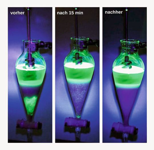 Neu am IOW entwickelt: Per Dichteseparation kann Mikroplastik (grün leuchtende Punkte) von mineralischem Sediment (blau-violette Schicht) getrennt werden.(Bild:  IOW / K. Enders)