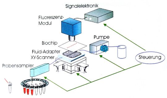 Abb. 1: Biochips – Einsatzmöglichkeiten im Labor Abb. 1: Biochips – Einsatzmöglichkeiten im Labor