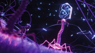 Forscher wollen mithilfe von Jumbo-Phagen gezielt und hocheffektiv gegen reistente Krankenhauskeime vorgehen (Symbolbild). (Bild: © katestudio - stock.adobe.com)