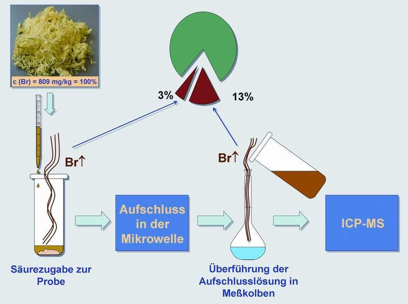 Abb. 3: Aufschluss eines polymeren OLED-Materials mit 809 mg/kg Brom (ermittelt durch NAA).  (Bild: FH Münster)