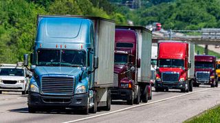 The investment in GBF is in line with BP's strategic aim of growing its bioenergy businesses as it transitions to become an integrated energy company. (©Carolyn Franks–stock.adobe.com)